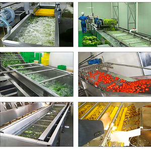 Machine automatique de nettoyage des épices et des <span class=keywords><strong>moules</strong></span> machine à laver les fruits et légumes à bulles à vendre - Product Image 4