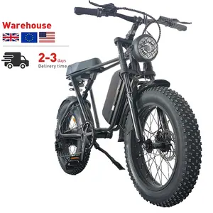 Prezzo 2022 750w mid drive 48v eu warehouse adult e 1000w road dirt hybrid mountain fat tire ebike bicicletta elettrica city bike