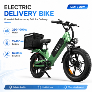 Bicicleta Eléctrica de Carga OEM ODM, 48V 55AH, Llanta Gruesa de 20 Pulgadas, Cuadro de Aluminio, 7 Velocidades, 750W, para Reparto - Product Image 1