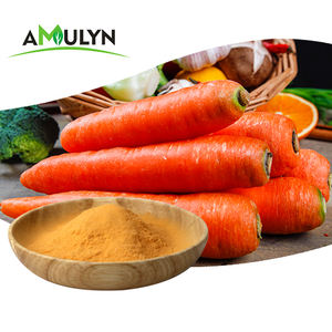 AMULYN Vente en gros de poudre de <span class=keywords><strong>carotte</strong></span> lyophilisée 100% biologique à bas <span class=keywords><strong>prix</strong></span> - Product Image 3