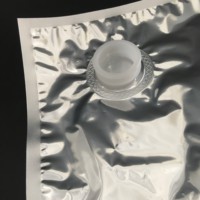 Sacs d'emballage de vin rouge en aluminium dans des boîtes pour le stockage des aliments Pochettes à bec verseur Jus de vin Alcool Pochette laminée Valve Container