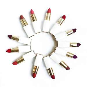 No LOGO <strong>Natural</strong> Vegan Cruelty Free Organic Private Label Lipstick Matte Lipstick Palette - Product Image 4