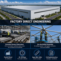Bâtiment d'entrepôt à structure spatiale 30 x 120 m à portée libre en acier pour logistique et hangar d'avions, direct usine