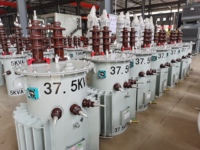 Transformateur immergé dans l'huile monophasé 50/60Hz, entrée 6kV/11kV, sortie 400V, bobine toroïdale, 25kVA, 30kVA, 50kVA, 75kVA, 333kVA