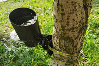 Projecteur LED HUG Hoop pour arbre, éclairage paysager de jardin sur piquet