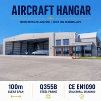 Hangar d'aviation en structure acier sur mesure pour le stationnement d'avions, le stockage aéroportuaire et l'atelier de maintenance