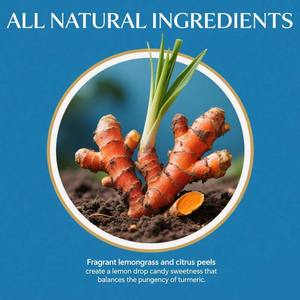 OEMデトックスハーブサプリメントティーバッグ シトラスターメリックハーブティーバッグ ノンカフェイン バッグ入りハーブサプリメント - Product Image 6