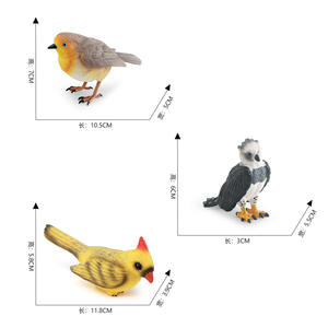 Vogel Beeldje Set Canary Robin Harpy Eagle Kids Educatief Dier Speelgoed Desktop Decoratie Model - Product Image 4