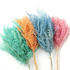 Fleur Préservée De haute Qualité Gros Feuilles de Fougère Dicranopteris <span class=keywords><strong>Dichotoma</strong></span> Feuille - Product Image 1