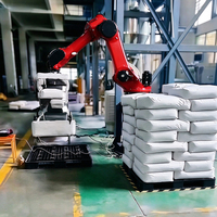 Lengan Robot Industri Borunte 6 Axis, Beban Angkut 50kg, Manipulator Tugas Berat untuk Pemuatan, Pembongkaran, Perakitan, dan Pencetakan Injeksi