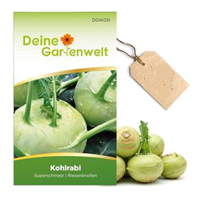 Farmhouse Organic Vegetable Garden <span class=keywords><strong>Kohlrabi</strong></span> Semear Pacote Planta Kit para Super Derretimento Sementes para Plantar Indoor/Outdoor para os Amantes - Product Image 2