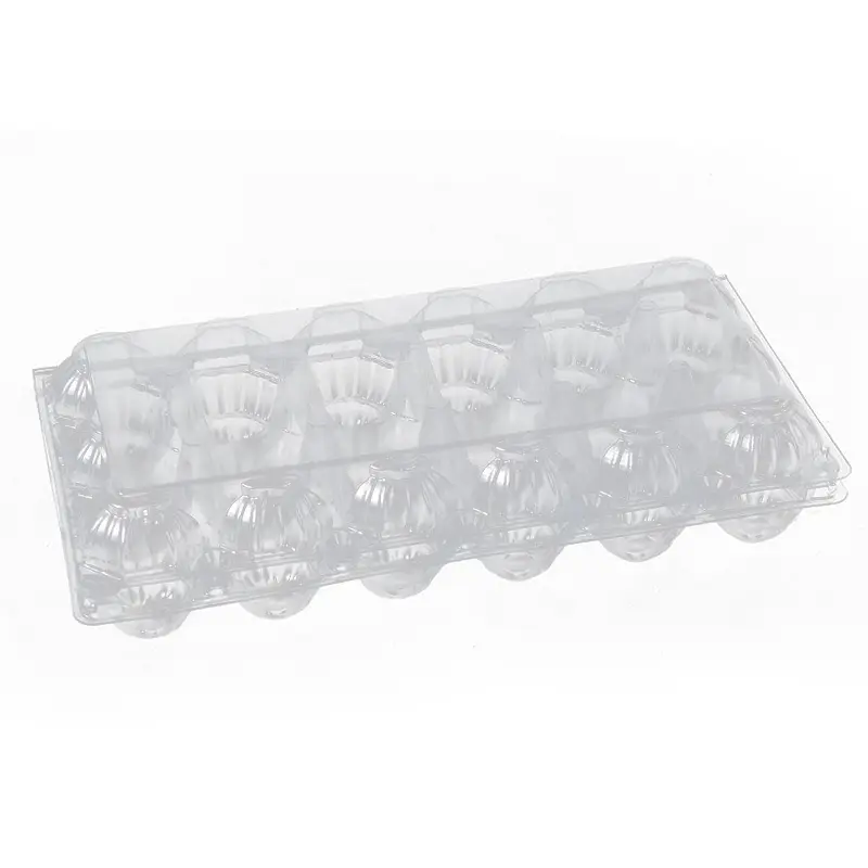 China Supplier Foldable Plastic Tray Blister 10 Quail Egg Boxes For Sale