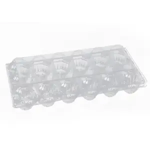 Fornitore della cina vassoio di plastica pieghevole Blister 10 scatole di uova di quaglia in vendita