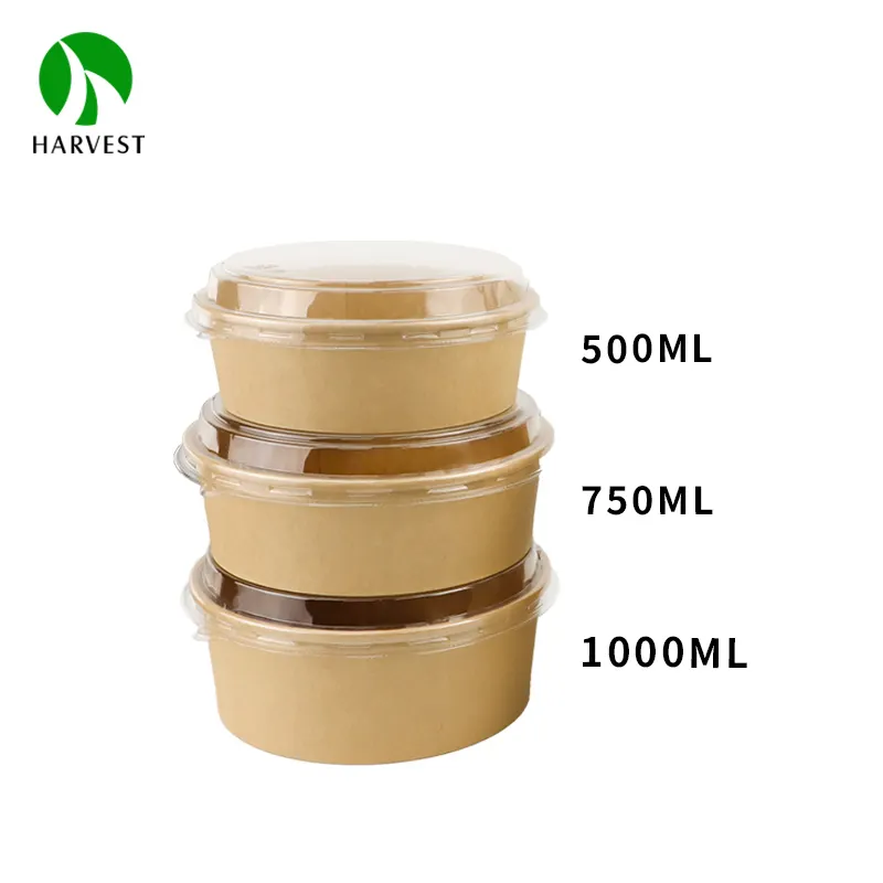 Eco Friendly Kraft Salad Bowls Disposable Brown Take Out Food Grade Paper Ramen Bowl