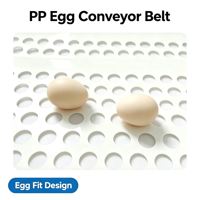 Bande de collecte d'œufs perforée en PP à faible taux de bris pour systèmes de cages à poules à plusieurs niveaux