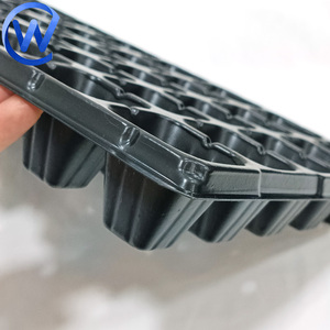 Plateaux de semis 70 cm x 48 cm - Product Image 1