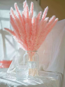 Bouquets de fleurs séchées éternelles en herbe de la pampa et roseaux, petits et séchés, pour décoration intérieure, toile de fond de mariage et décoration de table - Product Image 5