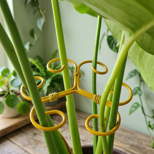 Support de plante en métal pour plantes grimpantes Monstera - Product Image 6