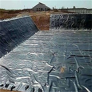 Commercio all'ingrosso della fabbrica 1mm 2mm 3mm HDPE ldpe PVC geomembrana per il sequestro di stagno di pesce lago artificiale per allevamento ittico - Product Image 6