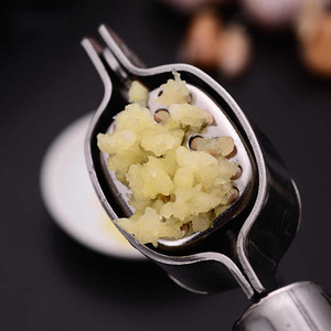 Stainless Steel Garlic Press 304 Stainless Steel Multi Functional Garlic Crusher Kitchen Tool Reusable - Product Image 3
