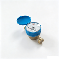 Advanced Digital Brass IP68 OEM DN15 ISO4064 Dry Dial Single Jet Type Water Meter