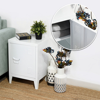 Meuble de rangement en acier pour la maison, armoire de salon, meuble d'appoint pour canapé, casier, table de chevet, armoire à portes, table de nuit pour chambre à coucher
