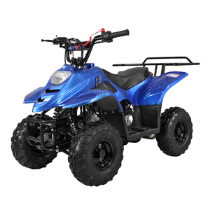 <span class=keywords><strong>Quad</strong></span> Tao Motor BOULDER 110cc à 4 roues, transmission par chaîne, homologué EPA ECE, idéal pour la course et l'agriculture - Product Image 6