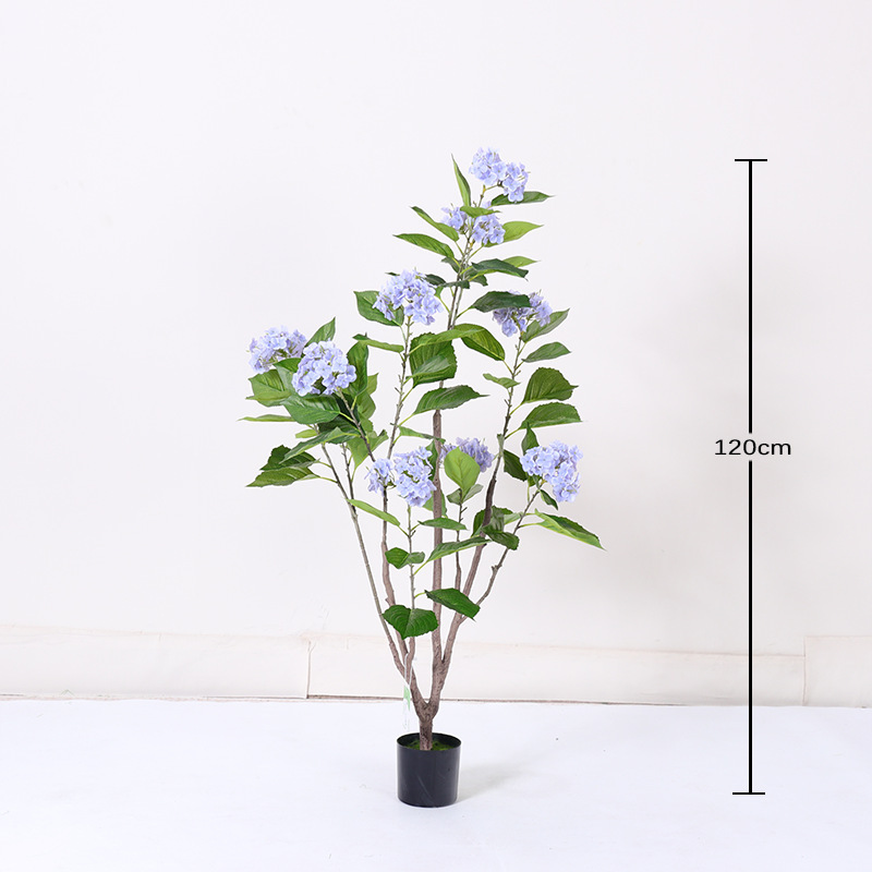 ต้นไฮเดรนเยียสีม่วง - 120 ซม.
