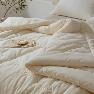 Japanese Style Cotton Soybean Fiber Quilt Spring Autumn Use Skin Friendly Home <b>Bedding</b> 1 Jin Or Less Weight - Product Image 4