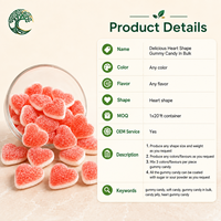 YUSAIL Premium Gourmet Hartvormige Gummy Candy Assortiment Fruitgevulde Snoepjes Op Maat Verpakte Levering