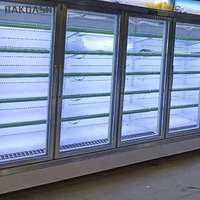 Vitrine réfrigérée pour aliments surgelés, réfrigérateur vertical industriel pour supermarché, congélateur de présentation, congélateur à coffre, congélateur à vendre