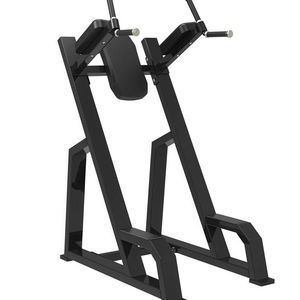 Stable Frame Dip <b>Knee</b> Raise Fitness Machine Abdominal <b>Exercise</b> Gear for Commercial Gym and Training Studio - Product Image 1