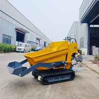Kleine Raupenlader-Muldenkipper für landwirtschaft liche Betriebe Mini Dumper 500kg Motor lager pumpe 1 Jahr Garantie Kostenlose Lieferung