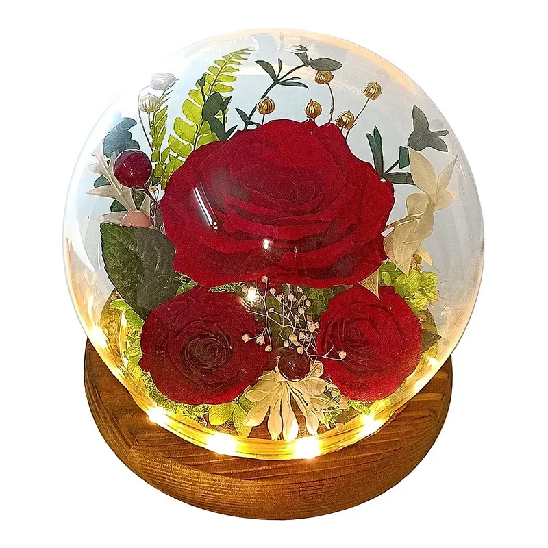 Venta al por mayor de flores regalo del Día de la madre de larga duración Real Natural Rosa eterna flor preservada para siempre rosas en cúpula de cristal Led