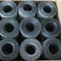 Maille de treillis extensible galvanisée 0,4 mm pour le renforcement des blocs, idéale pour les murs en briques d'appartements et la construction structurelle de maçonnerie