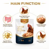 Aliment Complémentaire Prémélangé de Haute Qualité pour Volailles : Optimise la Production d'Œufs et le Gain de Poids – Prix de Gros