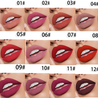 Rouge à lèvres mat à effet bombé en vente chaude, couleur prune rouge, coffret cadeau de rouge à lèvres, ensemble de maquillage