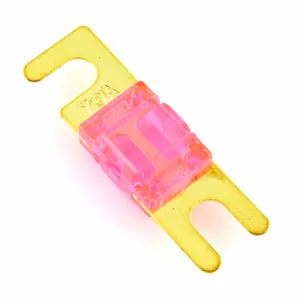 High Quality automotive anl fuse 40 to 500 amp series auto anl fuse