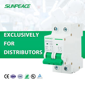 DZ47 Oem Dc Ac Mcb Din ray minyatür devre kesici elektrik 10a 16a 20a 25a 32a 63a <span class=keywords><strong>100a</strong></span> 125a 4.5ka 6ka <span class=keywords><strong>10ka</strong></span> 2p 500v 1000v - Product Image 1