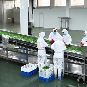 <span class=keywords><strong>Épinards</strong></span> surgelés IQF en gros de Chine, emballage en vrac |   Légumes surgelés de haute qualité pour la vente en gros et l'exportation - Product Image 5