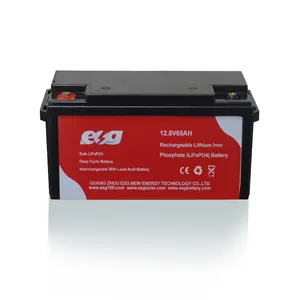 ESG 12V 12.8 Volt 12,8 v55ah 60Ah 65Ah siklus dalam isi ulang sertifikat Lithium Ion Lifepo4 baterai