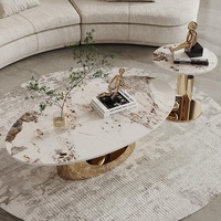 Table basse ovale moderne de designer italien Woerfu, luxe haut de gamme pour salon, style Normcore, réglable, en acier inoxydable et ardoise