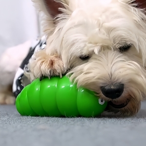 ของเล่นสุนัข TPR เคี้ยวทนทานสุดหรูของเล่นแบบโต้ตอบยากทำลายไม่ได้มีดีไซน์มีเสียงน่ารักสำหรับทำความสะอาดฟันสำหรับทุกสายพันธุ์ - Product Image 6