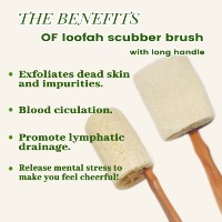 Brosse corporelle en bois écologique à long manche avec éponge de loofah naturelle, exfoliante pour le dos sous la douche, brosse de bain durable