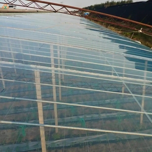Custom Light Diffusing Greenhouse Film PO Plastic Film UV Resistant Anti