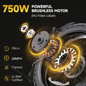 20-inch Fat-tire Bike OEM Customization Available Stylish Women Pedal-assist Brushless Rear <b>Hub</b> 52V 13Ah Battery VD26 Stylish De - Product Image 2