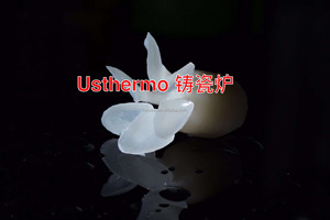 Horno de Porcelana de Alta Calidad para Laboratorio Dental, Horno de Fundición por Presión - Product Image 4