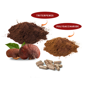 Mushroom Extract <strong>Ganoderma</strong> Lucidum Reishi Mushroom Spore <strong>Powder</strong> <strong>Capsule</strong> Various Bottle Can Drum - Product Image 2