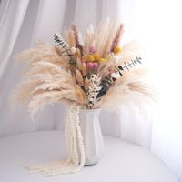 Buket Rumput Pampas Kering Berwarna-warni Gaya Bohemian Ramah Lingkungan Dekorasi Rumah untuk Pernikahan & Festival Rangkaian Bunga Kering