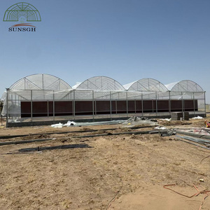 Een type frame-kas voor hydroponische aardbeienteelt - Product Image 6